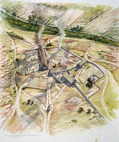Greenshiel, Lindisfarne, Holy Island, Northumberland von Peter Dunn