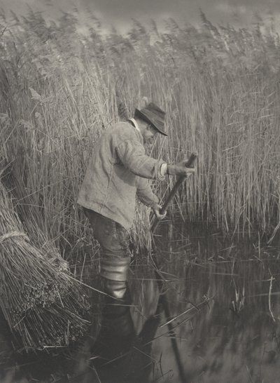 Ein Schilfschneider bei der Arbeit, 1886. Schöpfer: Dr. Peter Henry Emerson, Thomas Frederick Goodall von Peter Henry Emerson, Thomas Frederick Goodall