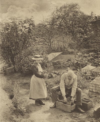 Ein Gartenende. [Suffolk.] von Peter Henry Emerson