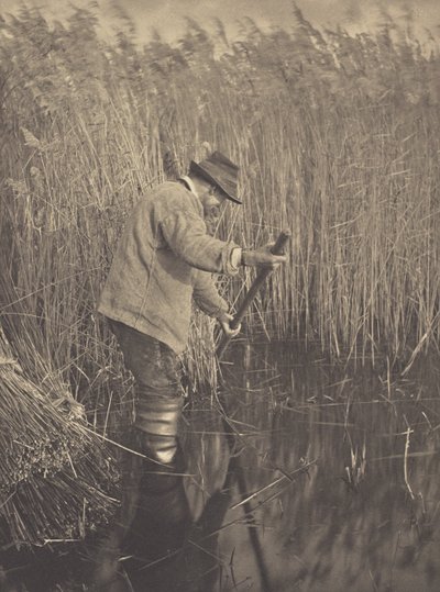 Ein Schilfschneider bei der Arbeit von Peter Henry Emerson