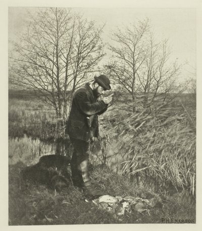 An der Deckungsecke (Norfolk) von Peter Henry Emerson