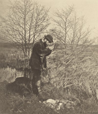 An der Covert Corner. Norfolk. von Peter Henry Emerson