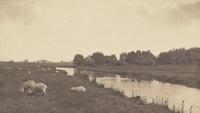 Am Fluss Bure von Peter Henry Emerson
