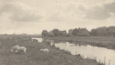 Am Fluss Bure, 1886 von Peter Henry Emerson