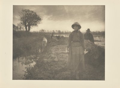 Heu im Sumpf staken von Peter Henry Emerson