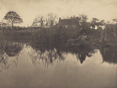 Quanting the Gladdon von Peter Henry Emerson