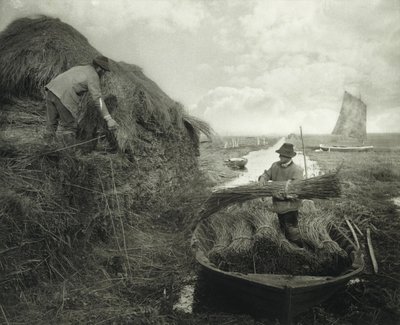 Schilf stapeln von Peter Henry Emerson