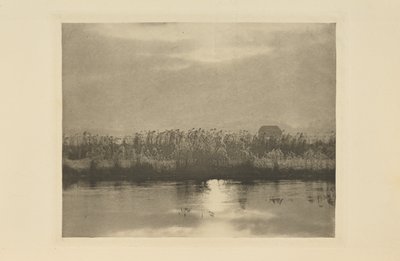 Reifkristalle von Peter Henry Emerson