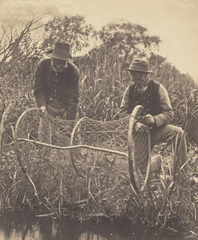 Aufstellen des Bogennetzes von Peter Henry Emerson