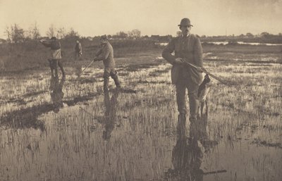 Schnepfenjagd von Peter Henry Emerson