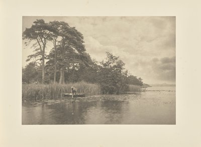 Das Versteck des Hechts von Peter Henry Emerson