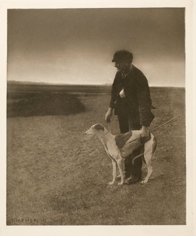 Der Wilderer - Ein Hase in Sicht von Peter Henry Emerson