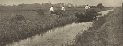 Die Ernte des Binsenschilfs von Peter Henry Emerson