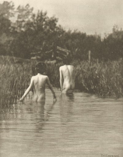 Wasserbabys von Peter Henry Emerson