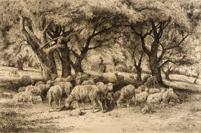 (Ein Obstgarten in Neuengland) von Peter Moran