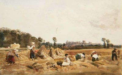 Kornfeld, Windsor von Peter de Wint