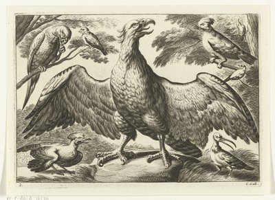Adler von Peter van Liesebetten