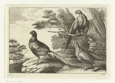 Drei Fasane von Peter van Liesebetten