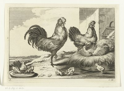 Huhn, Hähne und Küken von Peter van Liesebetten