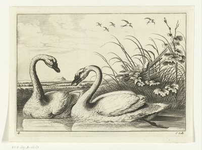 Zwei Schwäne von Peter van Liesebetten
