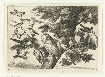 Vögel in einem Baum von Peter van Liesebetten