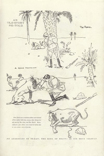 Ein Androklus von heute, der König der Tiere in seinen wahren Farben von Phil May