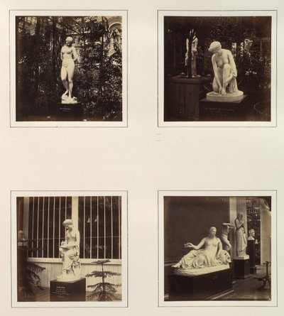 [Skulpturen von Andromeda, die Toilette der Atalanta, Corinna und eine Najade], ca. 1859 von Philip Henry Delamotte.