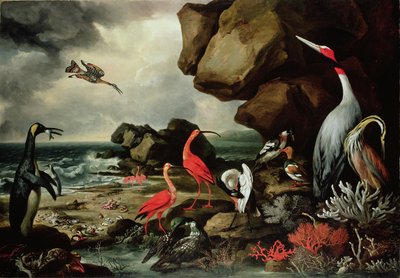 Ein Pinguin, ein Paar Flamingos und andere exotische Vögel, Muscheln und Korallen am Ufer von Philip Reinagle