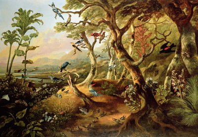 Exotische Vögel und Insekten zwischen Bäumen und Laub in einer bergigen Flusslandschaft von Philip Reinagle
