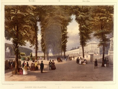 Der Jardin des Plantes - in „Promenade dans Paris et ses environs“, von Jacottet und Benoist, Paris, ca. 1840 von Philippe Benoist