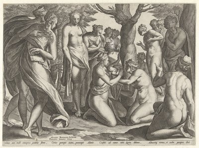 Geburt des Adonis von Philips Galle