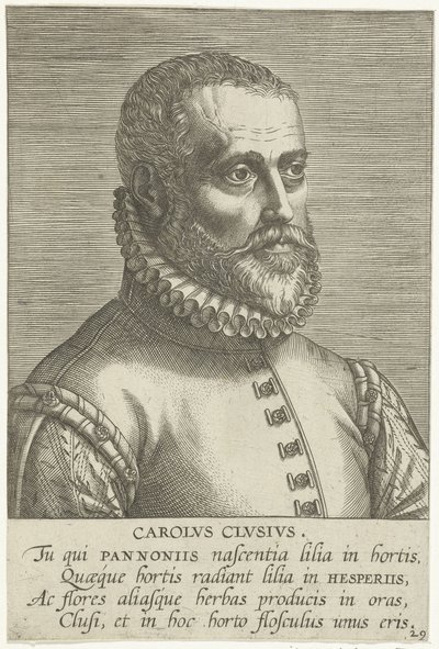 Porträt von Carolus Clusius von Philips Galle