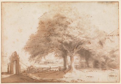 Hohe Bäume vor einem Bauernhof von Philips Koninck