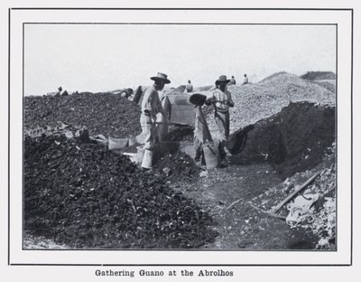 Guano-Sammlung bei den Abrolhos von Photographer Australian