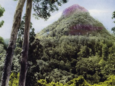 Queensland, Australien: Mt Cordeaux (Foto) von Photographer Australian