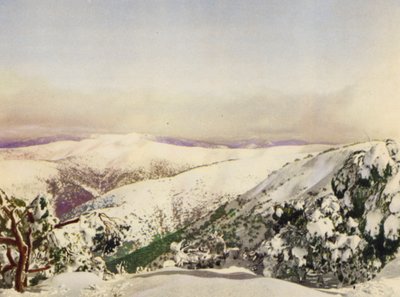 Winter in den Viktorianischen Alpen von Photographer Australian