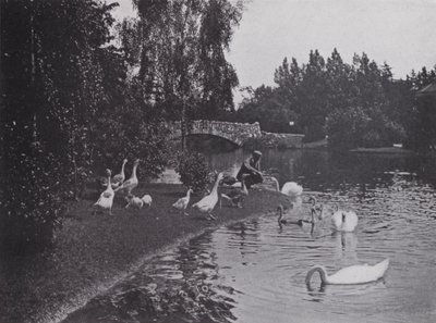 See, Beacon Hill Park, Victoria, British Columbia von Photographer Canadian