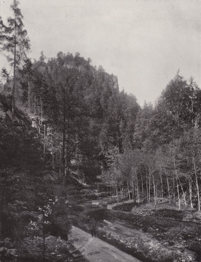 Partie aus dem Polenztal von Photographer German