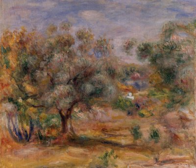 Olivenbaum in Les Collettes, ca. 1910-15 von Pierre Auguste Renoir