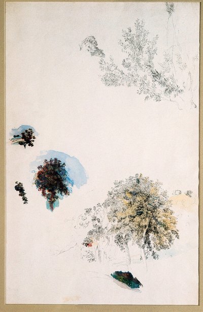 Studien von Bäumen von Pierre Auguste Renoir
