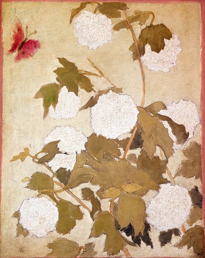 Schneebälle Blumen Schneebälle (Viburnum Ob) und roter Schmetterling von Pierre Bonnard