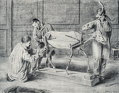 Präparation: Präparatoren bereiten das künstliche Skelett in der Werkstatt vor, Gravur aus "Exkursion durch die Berufe" von Pierre Calmette, Privatsammlung von Pierre Calmettes