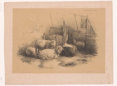 Studie einer Schafherde bei einem Zaun von Pierre Frédéric Lehnert