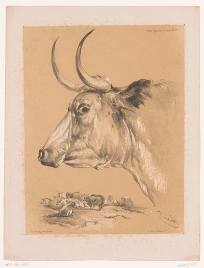 Studie eines Rindes von Pierre Frédéric Lehnert