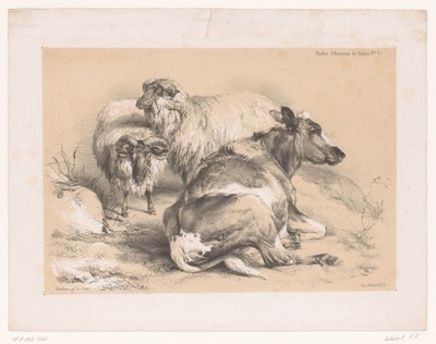 Studie von zwei Schafen und einer Kuh von Pierre Frédéric Lehnert