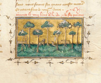 Detail einer Seite aus "De Proprietatibus Rerum" von Bartholomeus Anglicus, in der französischen Übersetzung von Jean Corbechon von Pierre Remiet