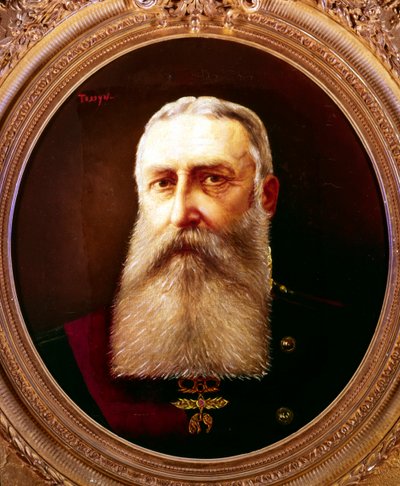 Leopold II., König von Belgien, 1865-1909 von Pierre Tossyn