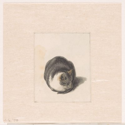 Sitzende Katze, von vorne gesehen von Pieter Bartholomeusz. Barbiers