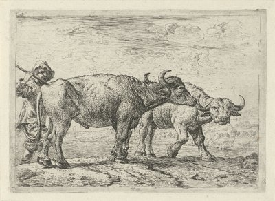 Zwei Büffel und ein Hirte von Pieter Bodding van Laer