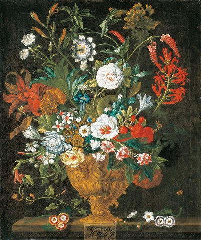 September, aus Die zwölf Monate der Blumen, ein Blumenkalender von Stillleben von Pieter Casteels